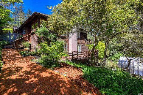 140 E Cintura Ave, Lagunitas, CA 94938 photo 8