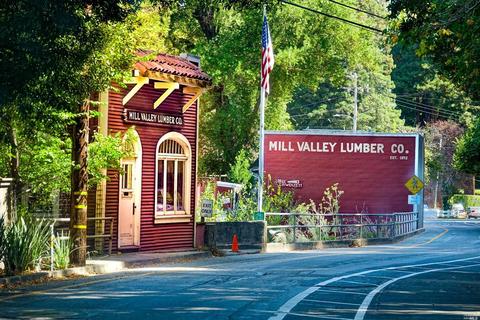 74 Sycamore Ave, Mill Valley, CA 94941 photo 50
