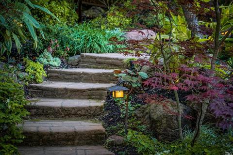 74 Sycamore Ave, Mill Valley, CA 94941 photo 45