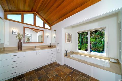 74 Sycamore Ave, Mill Valley, CA 94941 photo 28