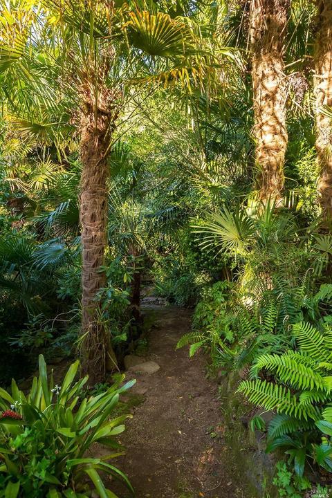 26 Barranca Rd, Lagunitas, CA 94938 photo 46