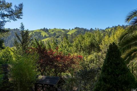 26 Barranca Rd, Lagunitas, CA 94938 photo 37