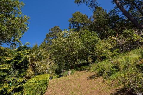 26 Barranca Rd, Lagunitas, CA 94938 photo 34