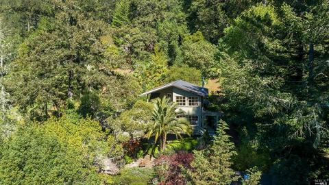 26 Barranca Rd, Lagunitas, CA 94938 photo 39