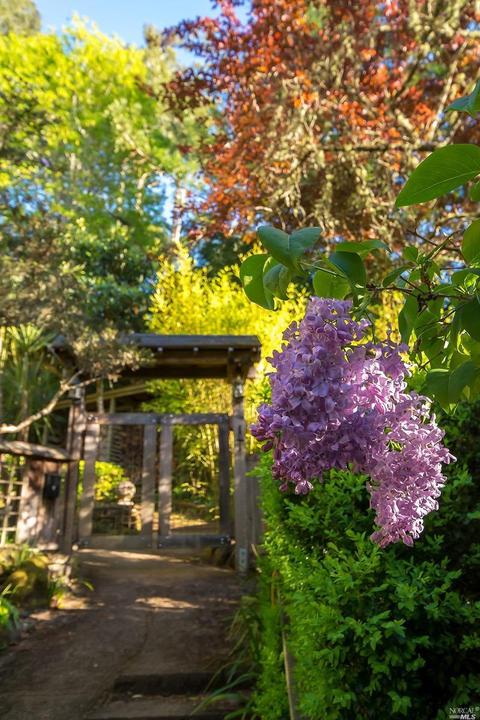 26 Barranca Rd, Lagunitas, CA 94938 photo 47