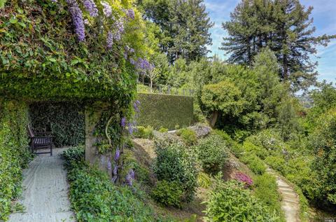 16 Madrone Way, Kentfield, CA 94904 photo 45