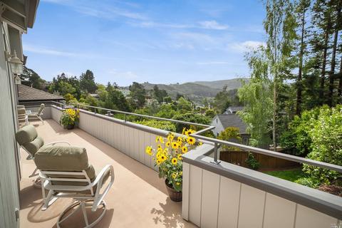 375 Dolan Ave, Mill Valley, CA 94941 photo 18