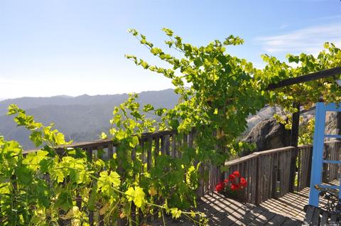 3380 Williams Ranch Rd, Willits, CA 95490 photo 16