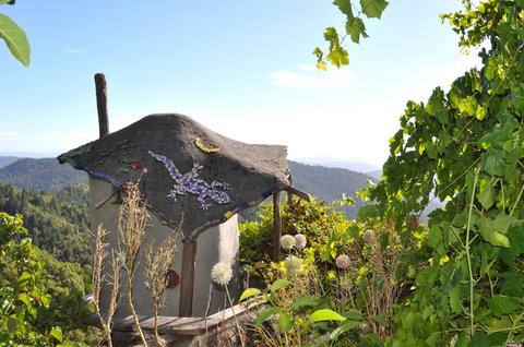 3380 Williams Ranch Rd, Willits, CA 95490 photo 32