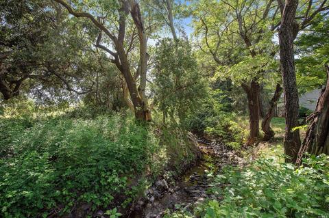 1288 Felder Rd, Sonoma, CA 95476 photo 31