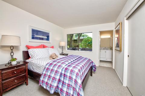 10 Great Circle Dr, Mill Valley, CA 94941 photo 29
