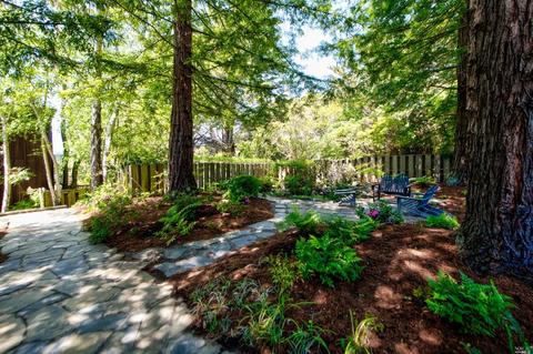 10 Great Circle Dr, Mill Valley, CA 94941 photo 5