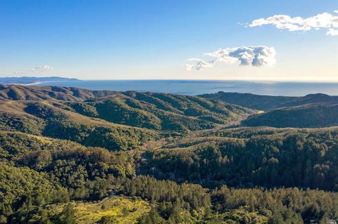 47 Ridge Ave, Mill Valley, CA 94941 photo 38