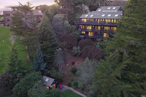 47 Ridge Ave, Mill Valley, CA 94941 photo 39