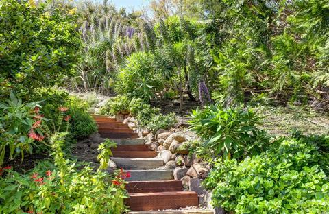 1049 Erica Rd, Mill Valley, CA 94941 photo 36