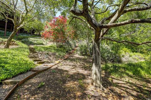 1049 Erica Rd, Mill Valley, CA 94941 photo 39