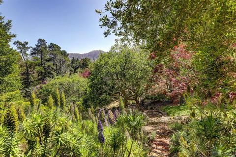 1049 Erica Rd, Mill Valley, CA 94941 photo 37