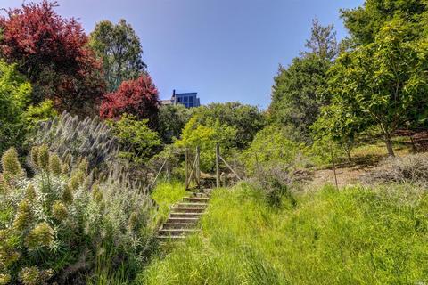 1049 Erica Rd, Mill Valley, CA 94941 photo 40