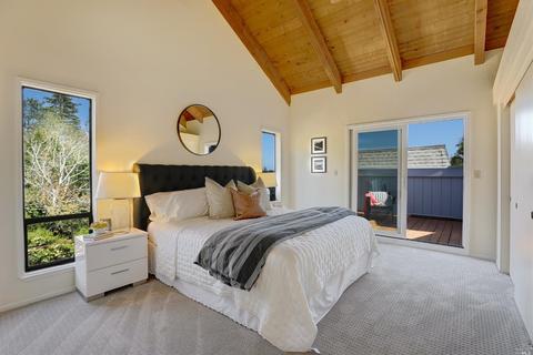 1049 Erica Rd, Mill Valley, CA 94941 photo 6
