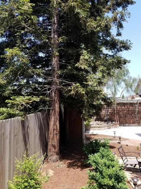300 Valley Oak Ln, Vallejo, CA 94591 photo 23