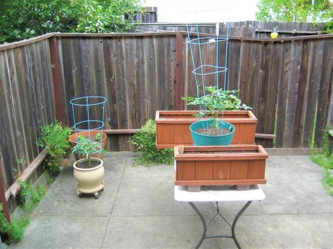 67 Cockrobin Ave, Windsor, CA 95492 photo 13