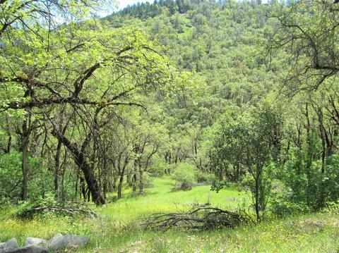 3100 Eel River Ranch Rd, Covelo, CA 95428 photo 28