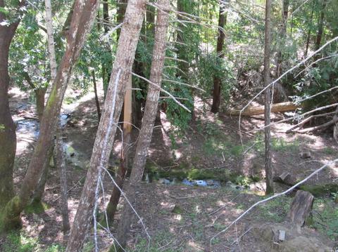 2741 Primrose Dr, Willits, CA 95490 photo 23