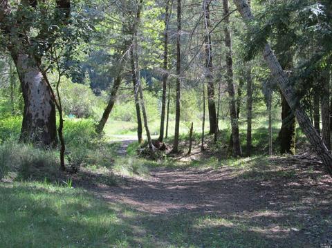 2741 Primrose Dr, Willits, CA 95490 photo 24