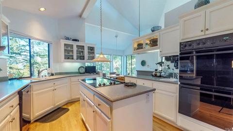 2959 Joy Rd, Occidental, CA 95465 photo 13