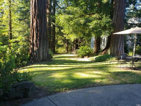 2959 Joy Rd, Occidental, CA 95465 photo 3