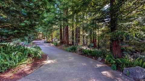 2959 Joy Rd, Occidental, CA 95465 photo 37
