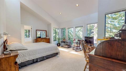 2959 Joy Rd, Occidental, CA 95465 photo 23