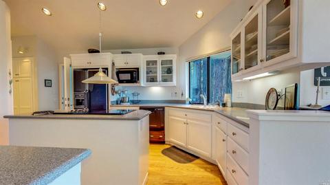 2959 Joy Rd, Occidental, CA 95465 photo 18