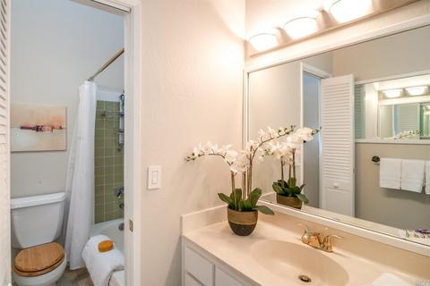 10 Ace Ct, Fairfax, CA 94930 photo 24