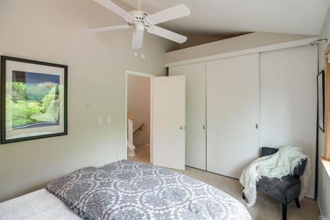 10 Ace Ct, Fairfax, CA 94930 photo 19