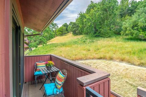 10 Ace Ct, Fairfax, CA 94930 photo 27