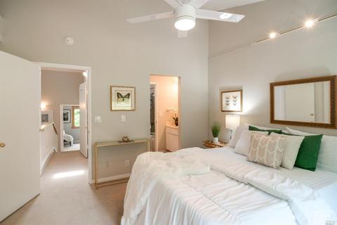 10 Ace Ct, Fairfax, CA 94930 photo 23