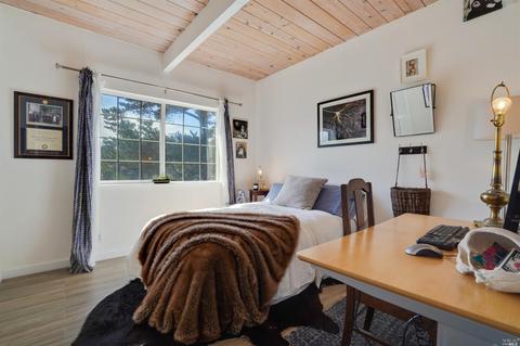 302 Sheffield Ave, Mill Valley, CA 94941 photo 17