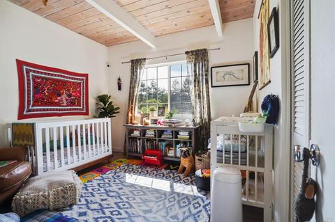 302 Sheffield Ave, Mill Valley, CA 94941 photo 18