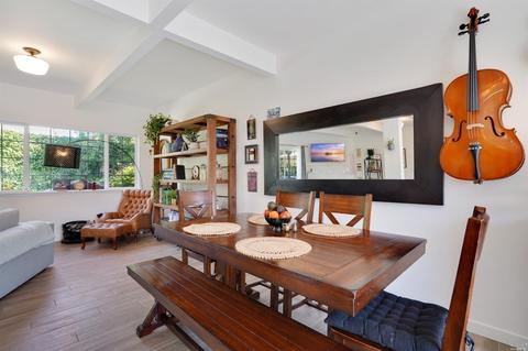 302 Sheffield Ave, Mill Valley, CA 94941 photo 10