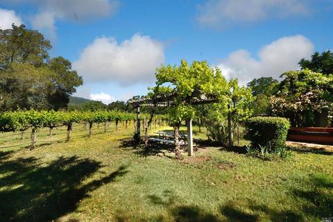 1233 Stevens Gate Rd, Sonoma, CA 95476 photo 26