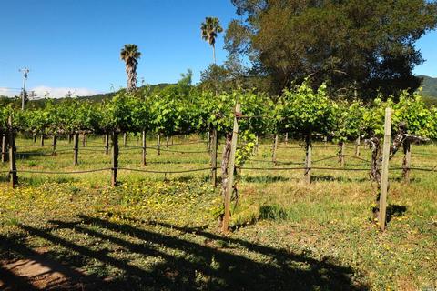 1233 Stevens Gate Rd, Sonoma, CA 95476 photo 17