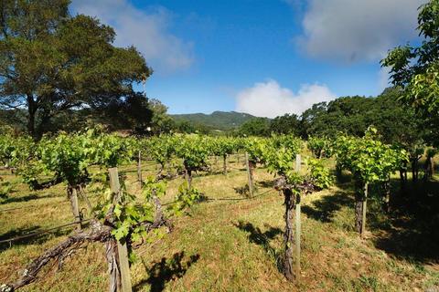 1233 Stevens Gate Rd, Sonoma, CA 95476 photo 32