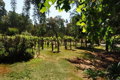 1233 Stevens Gate Rd, Sonoma, CA 95476 photo 30