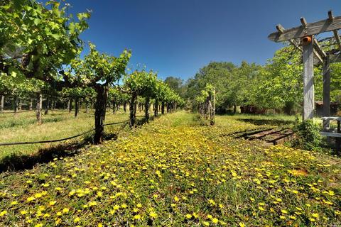 1233 Stevens Gate Rd, Sonoma, CA 95476 photo 33