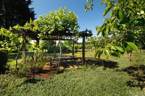 1233 Stevens Gate Rd, Sonoma, CA 95476 photo 28