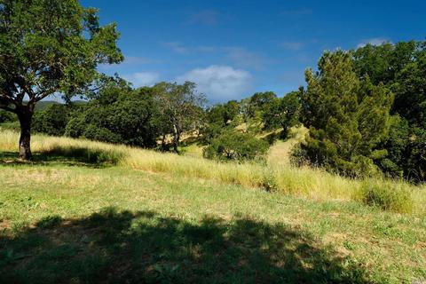 1233 Stevens Gate Rd, Sonoma, CA 95476 photo 29