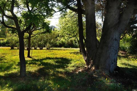 1233 Stevens Gate Rd, Sonoma, CA 95476 photo 20