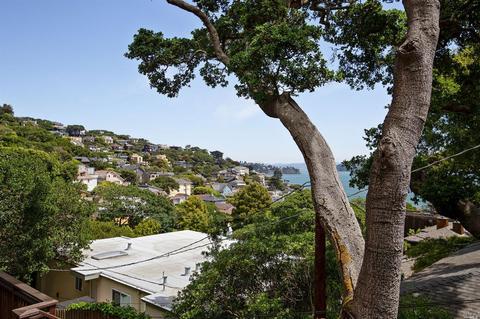 29 Crescent Ave, Sausalito, CA 94965 photo 17