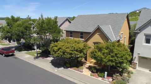 361 Arabian Way, Healdsburg, CA 95448 photo 48
